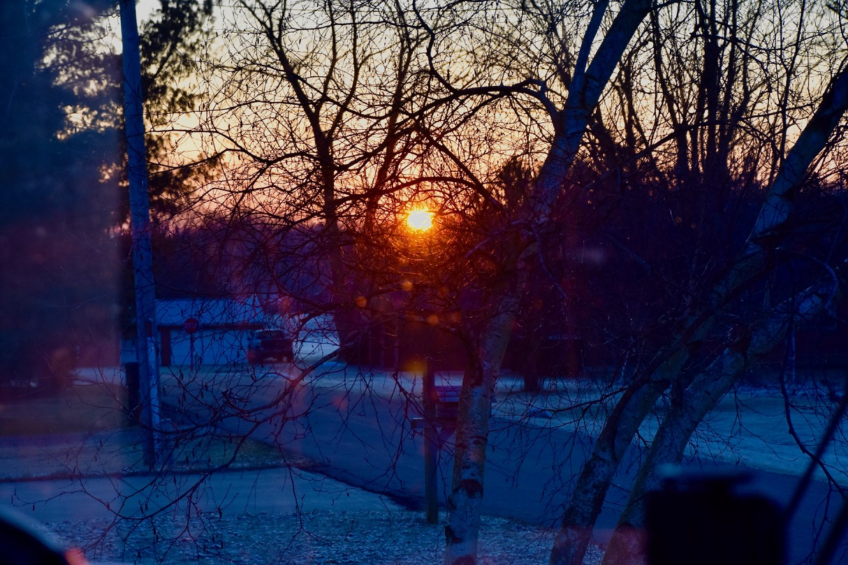 Sun rise in Aunt Rosine's driveway